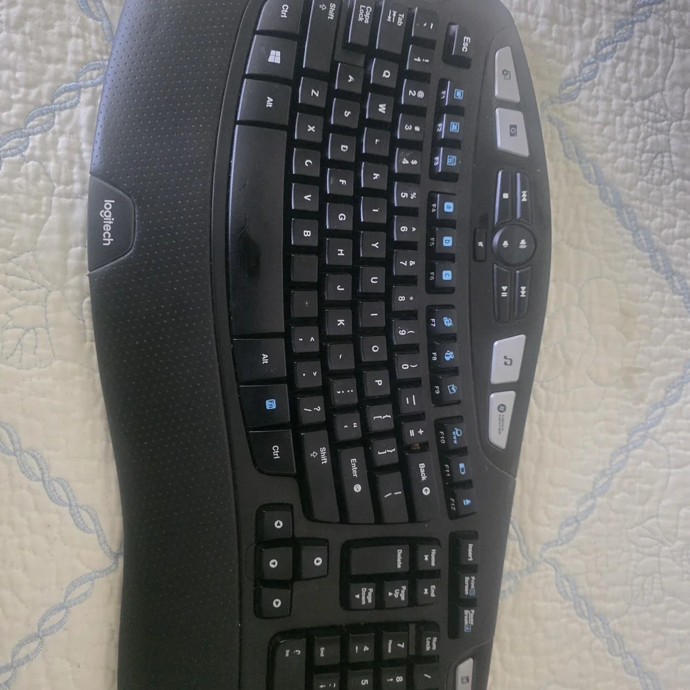 Lenovo Black Wired Multimedia Keyboard with Integrated Palm Rest